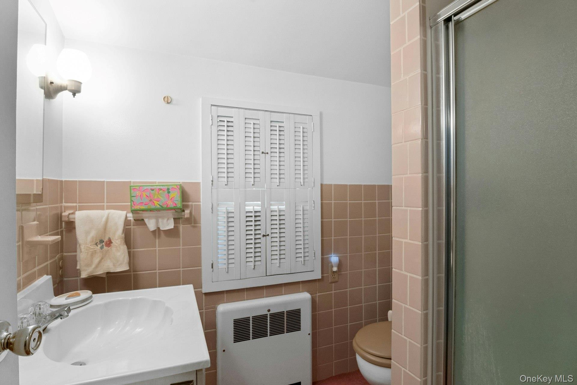 263 Pythian Avenue – For Sale photo 15