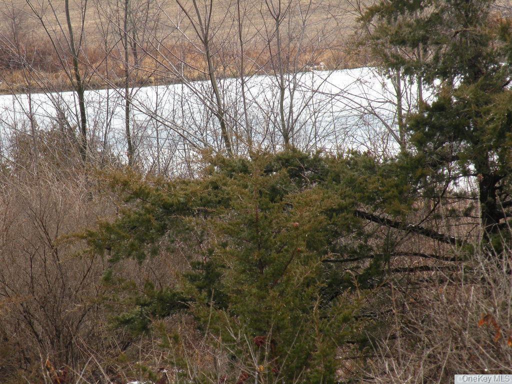 County Route 19 – For Sale photo 6