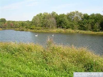 County Route 19 – For Sale photo 4