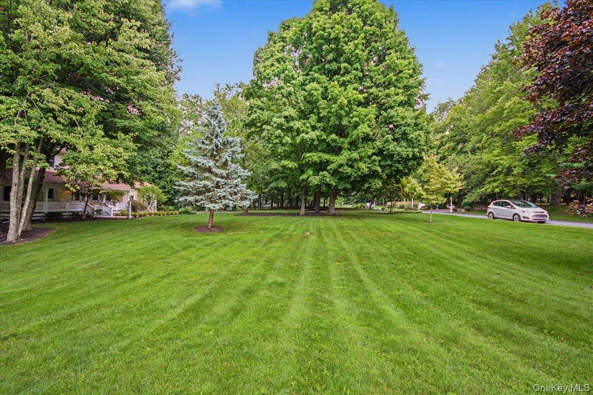 84 Harden Drive – For Sale photo 4