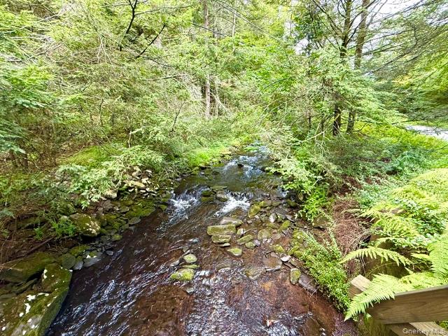 Lot 9 Black Forest Road – For Sale photo 11