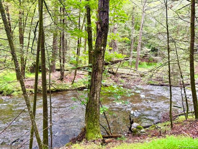 Lot 9 Black Forest Road – For Sale photo 4