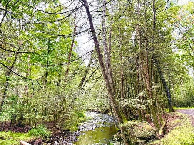 Lot 9 Black Forest Road – For Sale photo 3