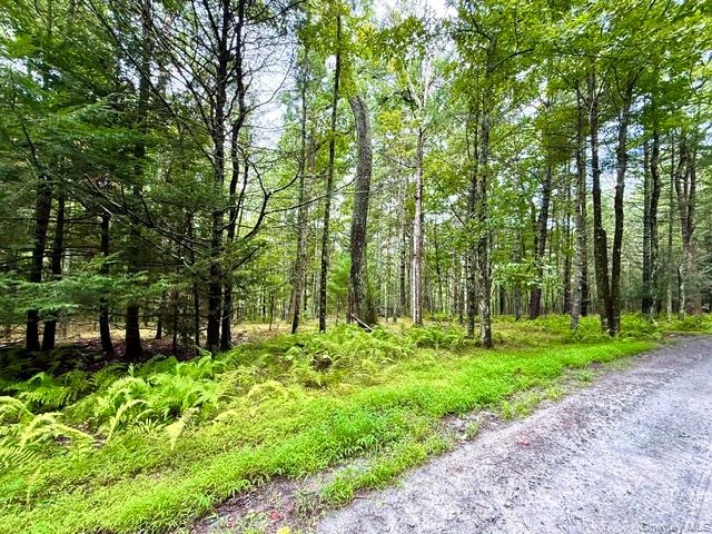 Lot 9 Black Forest Road – For Sale photo 13