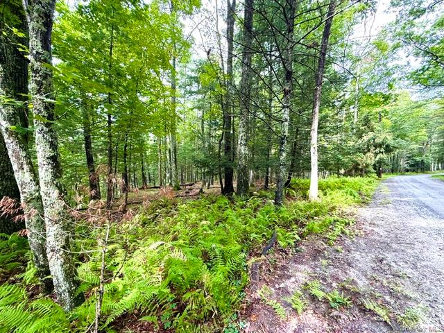 Lot 9 Black Forest Road – For Sale photo 9