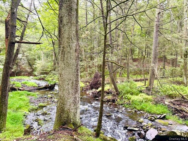 Lot 9 Black Forest Road – For Sale photo 7