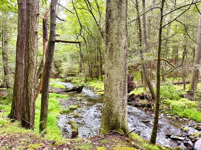 Lot 9 Black Forest Road – For Sale photo 2