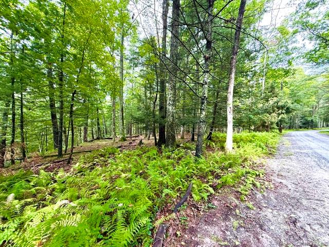 Lot 9 Black Forest Road – For Sale photo 10