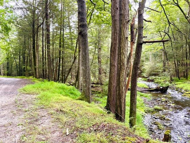 Lot 9 Black Forest Road – For Sale photo 6