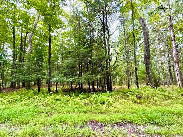 Lot 9 Black Forest Road – For Sale photo 12