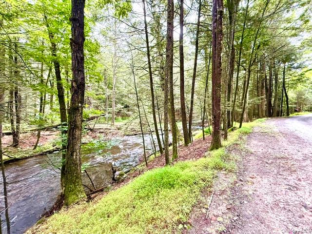 Lot 9 Black Forest Road – For Sale photo 8