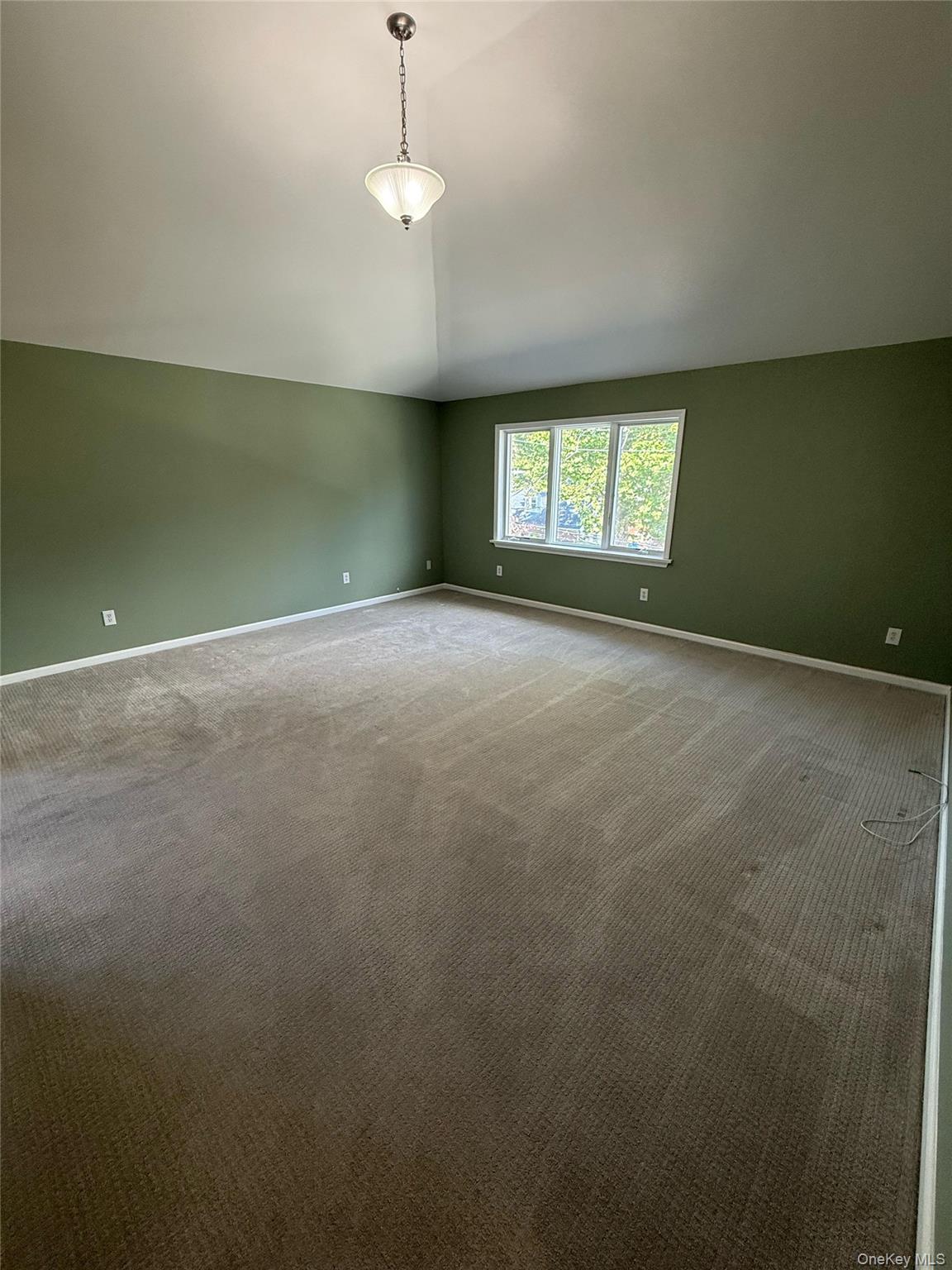 103 Clunie Avenue, Unit 2 photo 5