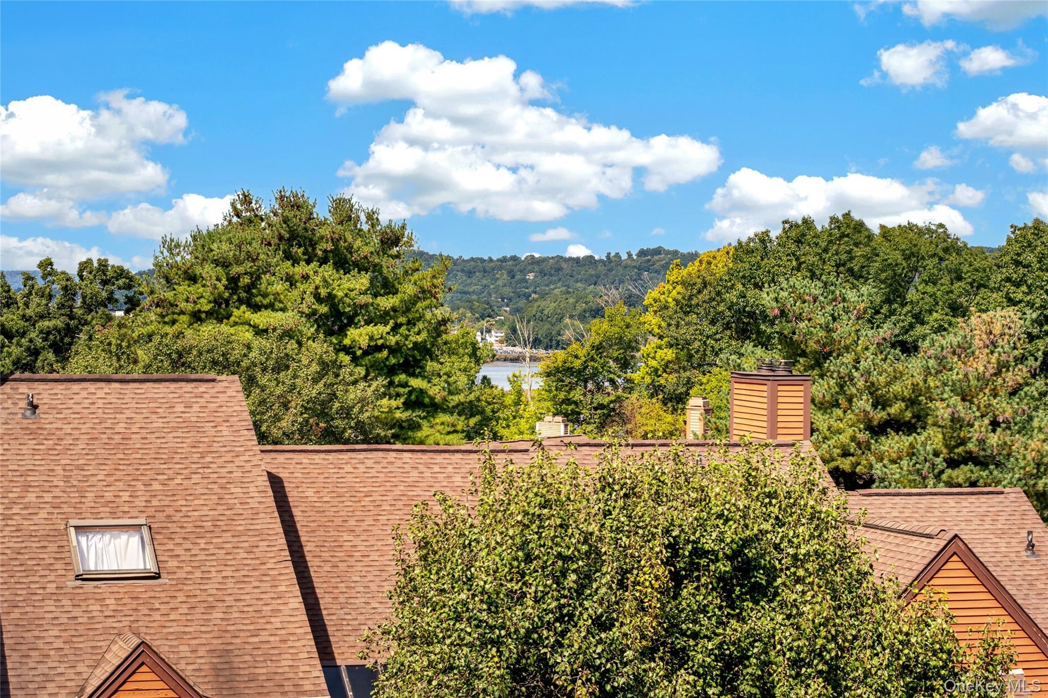 1203 Eagle Bay Drive – For Sale photo 24