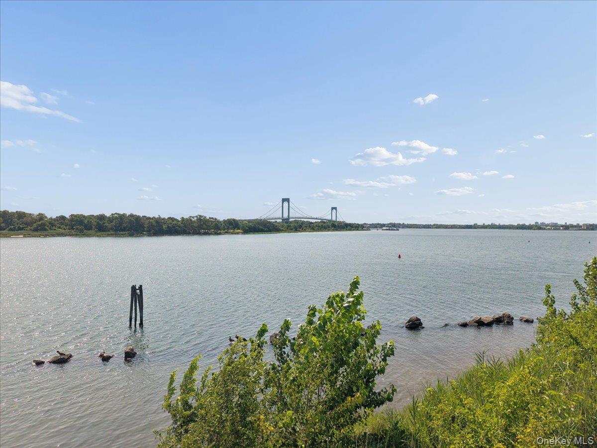 290 Zerega Avenue – For Sale photo 21