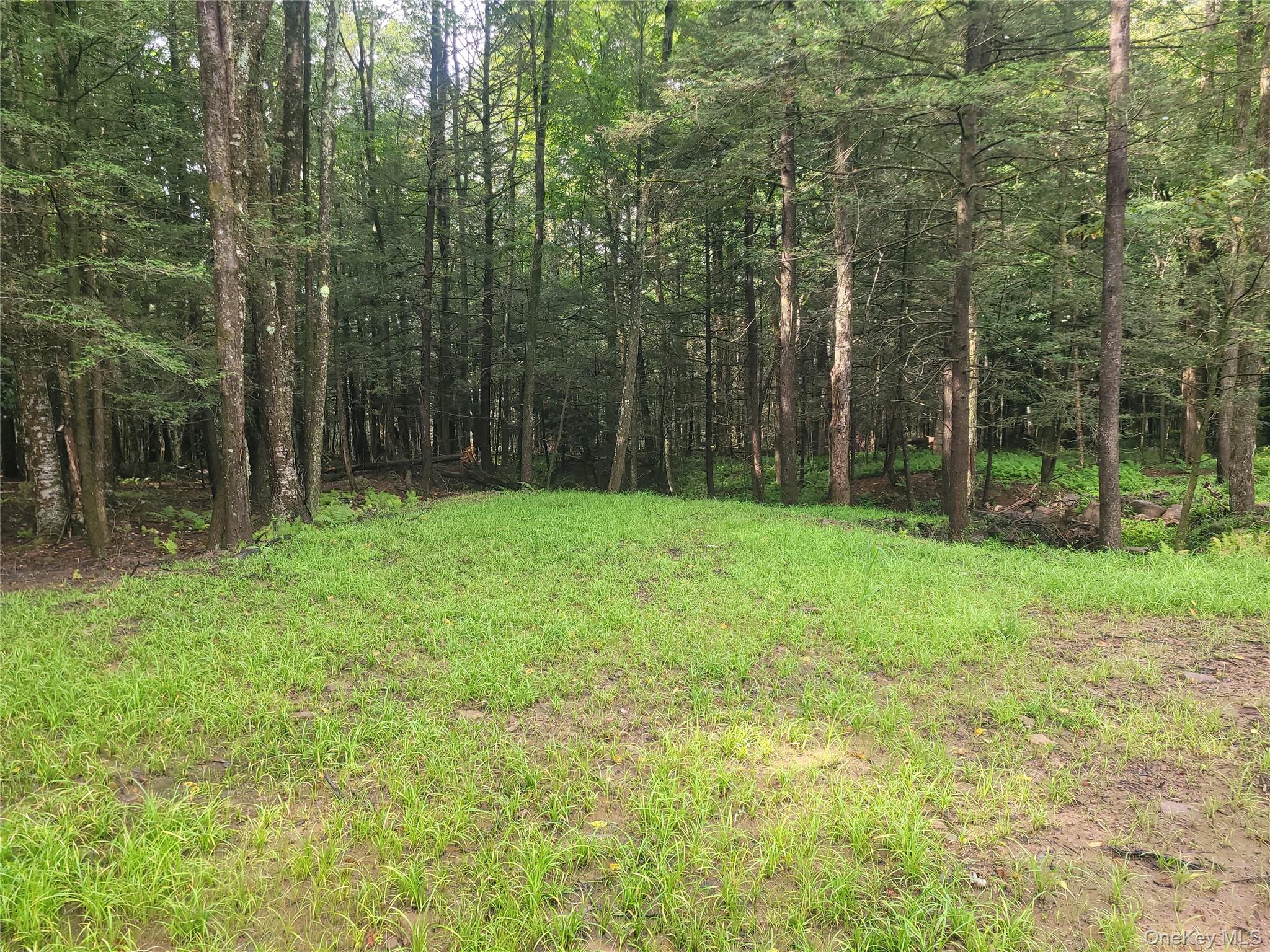 361 Ahrens Road – For Sale photo 5