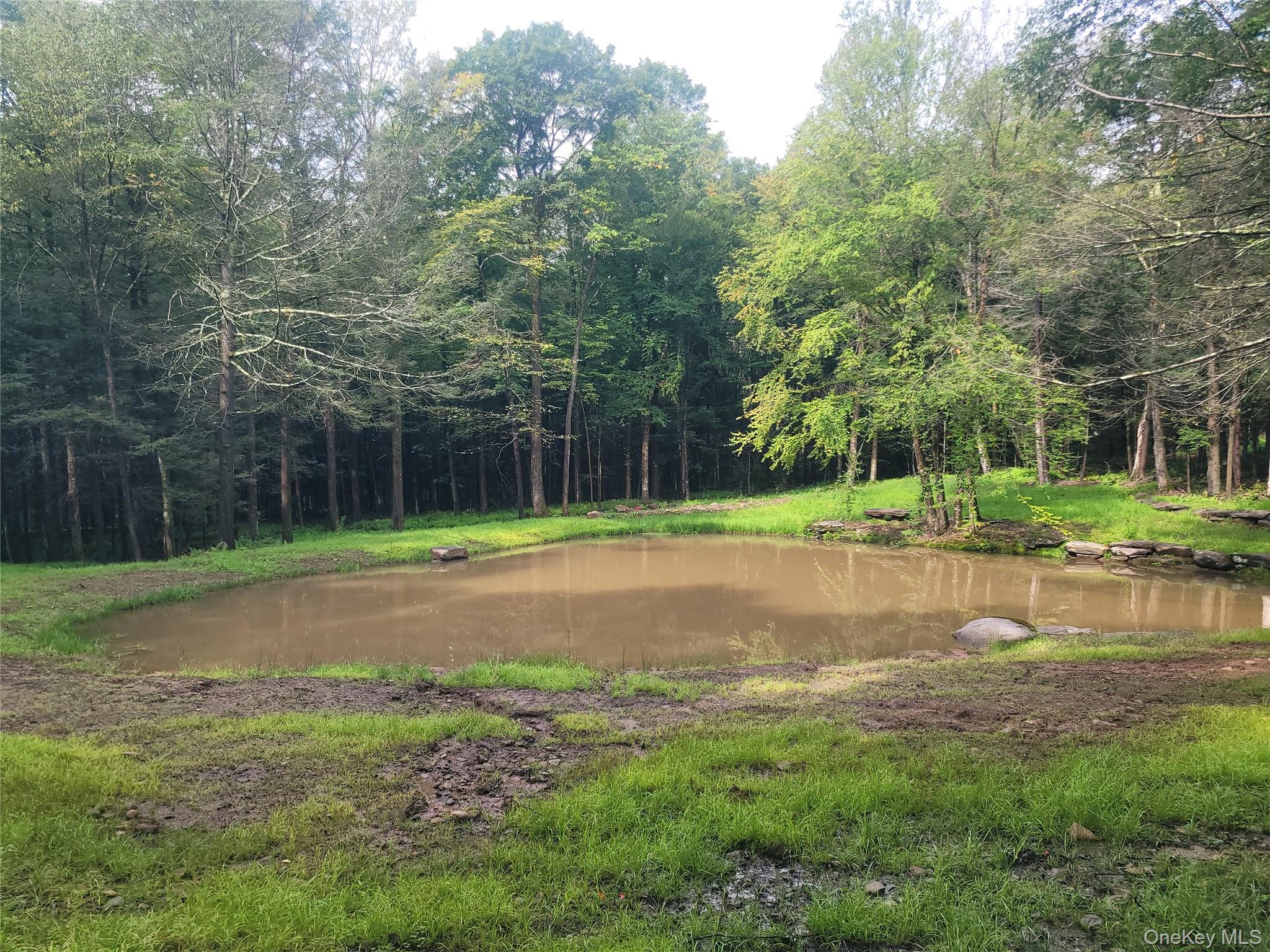 361 Ahrens Road – For Sale
