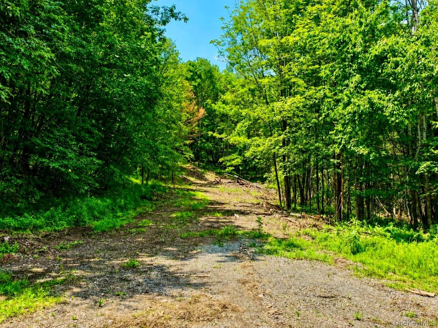 TBD Valley View Road – For Sale photo 9
