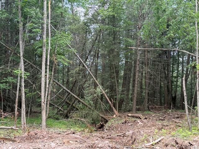 TBD Valley View Road – For Sale photo 14