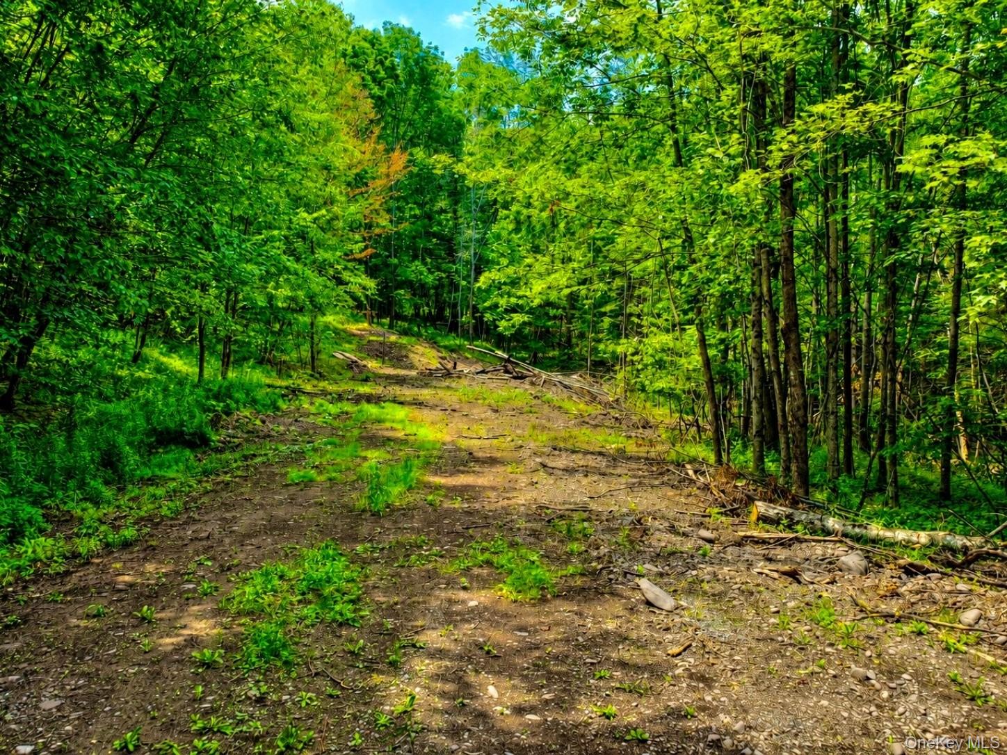 TBD Valley View Road – For Sale photo 10