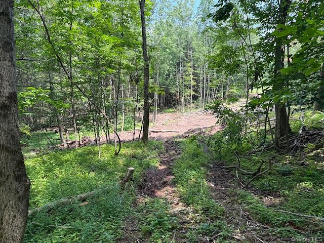 TBD Valley View Road – For Sale photo 19