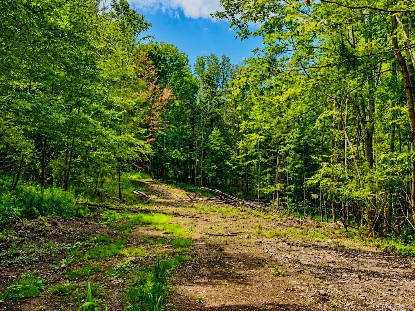 TBD Valley View Road – For Sale photo 11