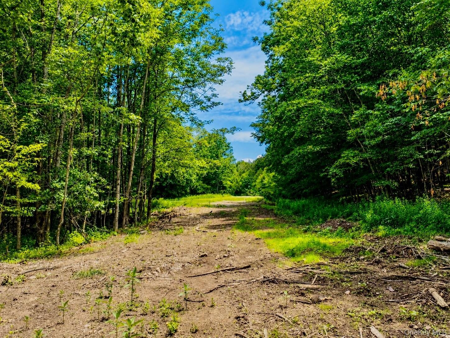 TBD Valley View Road – For Sale photo 12