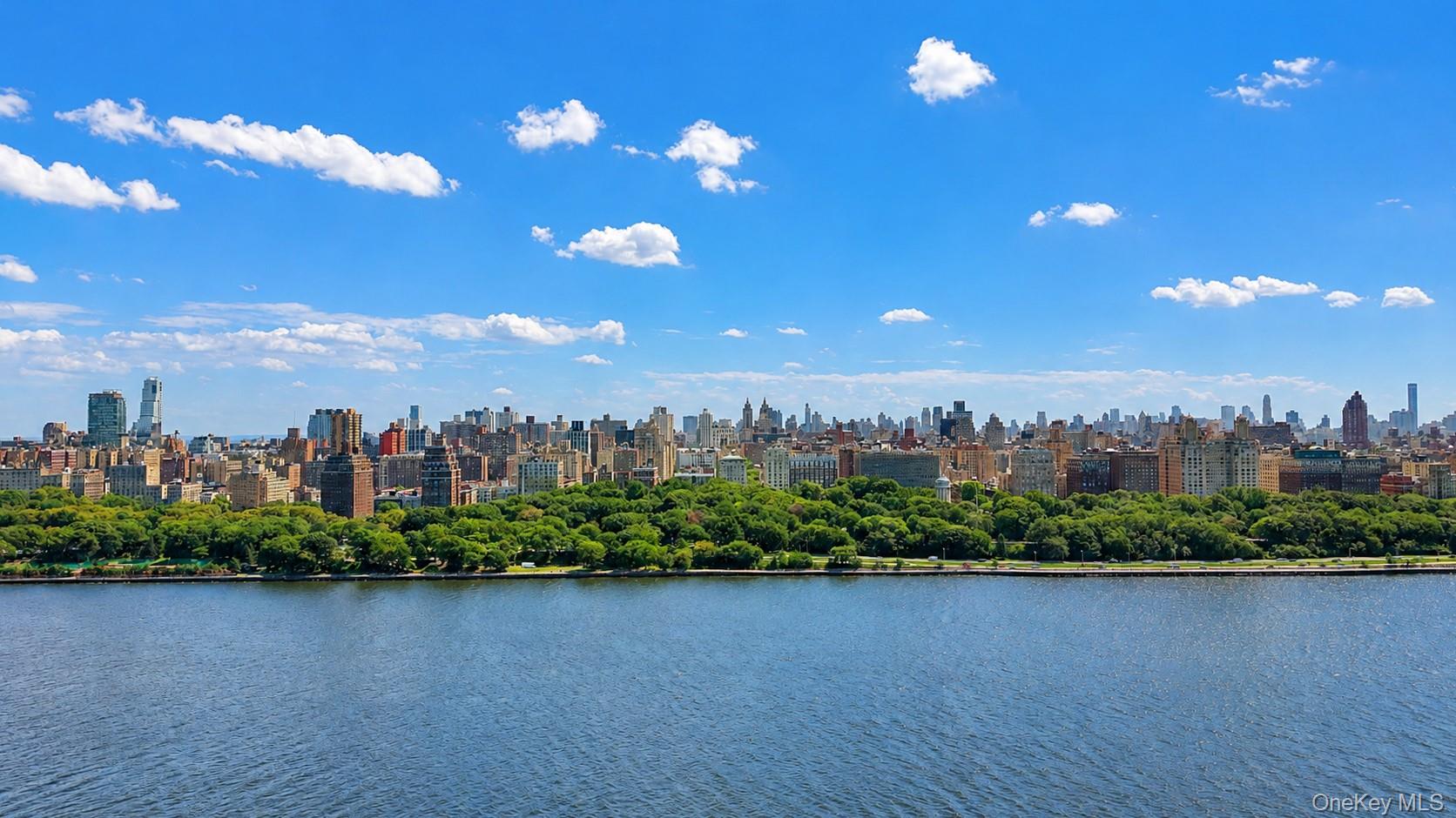 433 W 34th Street, Unit 2N photo 13