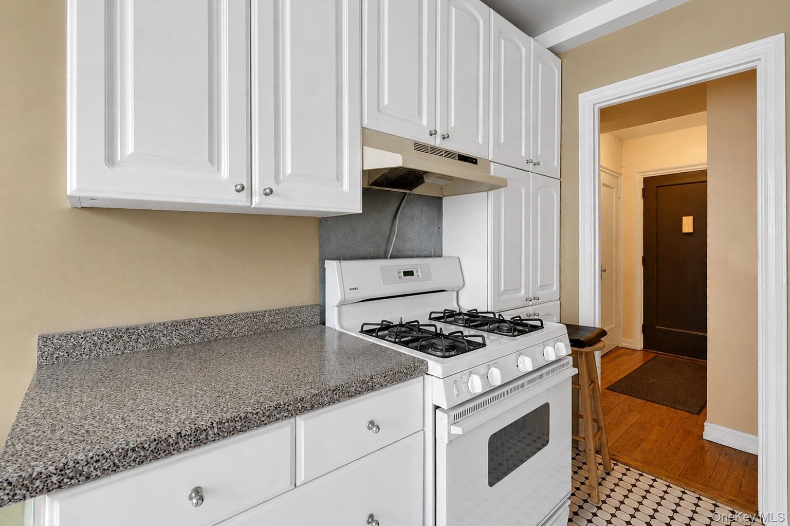433 W 34th Street, Unit 2N photo 10