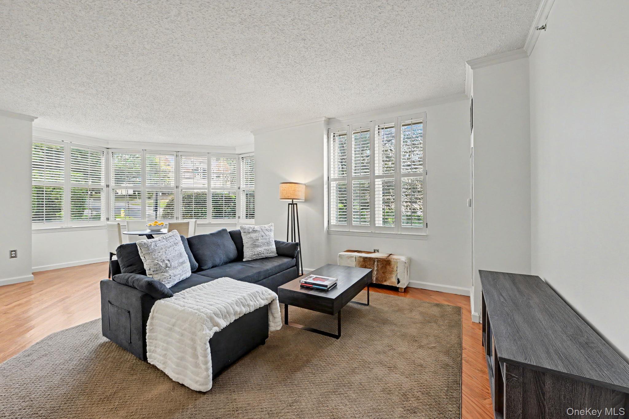 300 Mamaroneck Avenue, Unit 303 photo 7