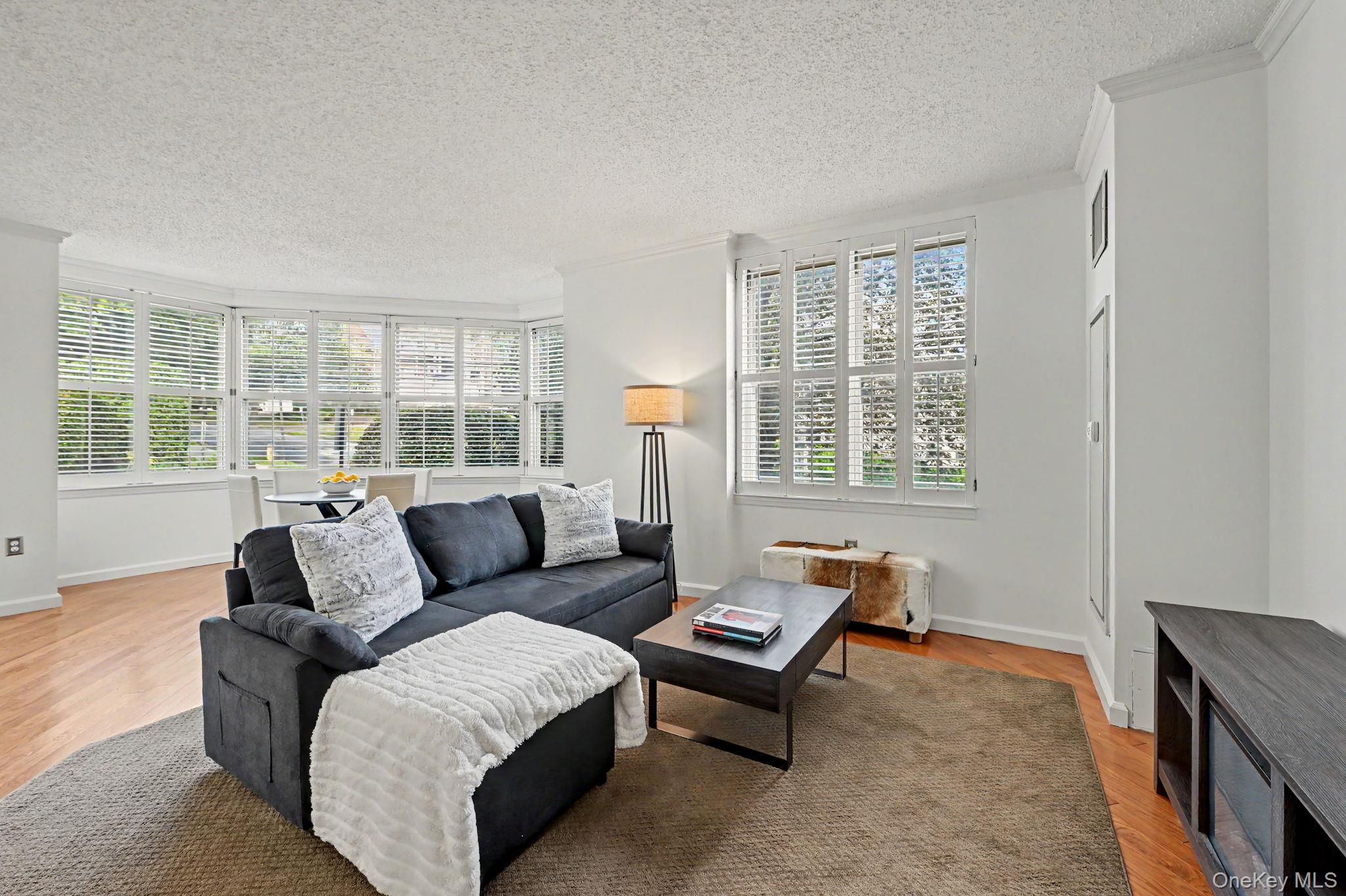 300 Mamaroneck Avenue, Unit 303 photo 14