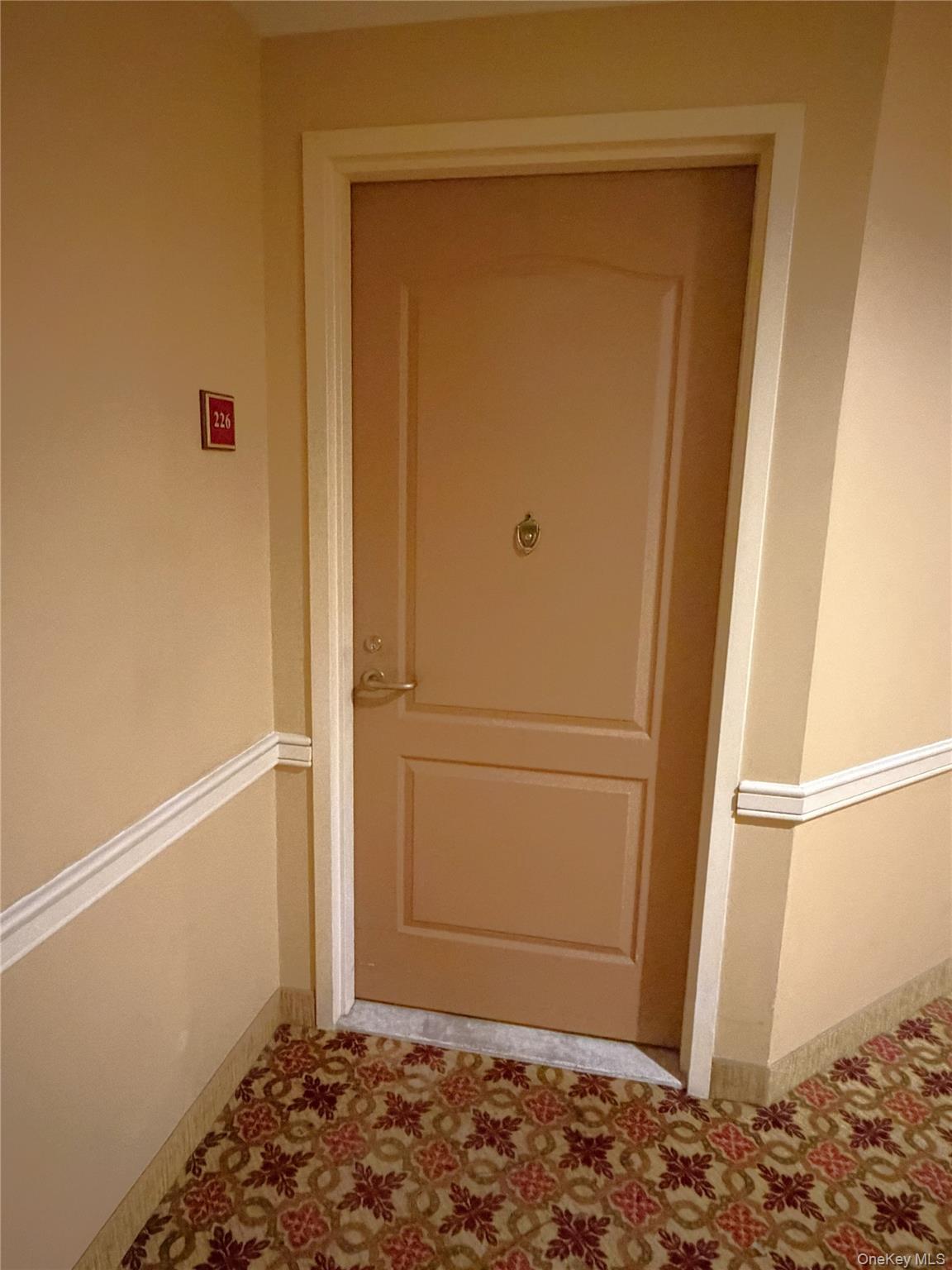 50 Merrick Avenue, Unit 226 photo 4