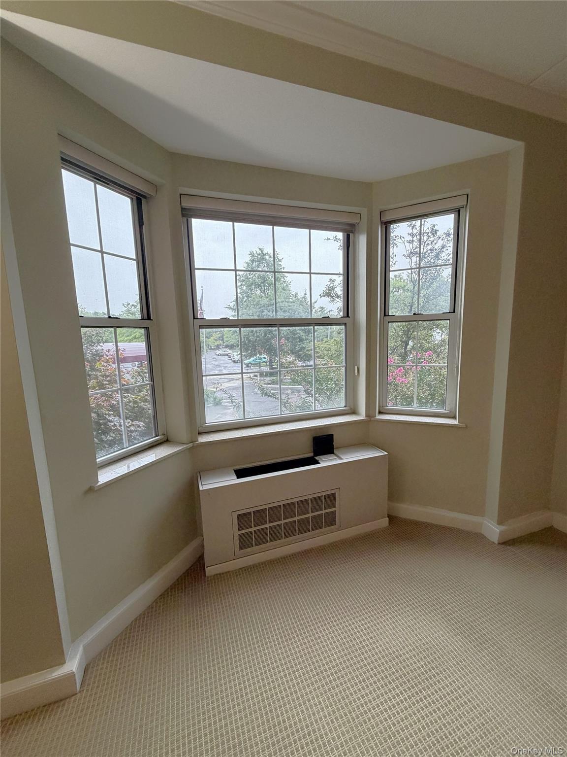 50 Merrick Avenue, Unit 226 photo 9