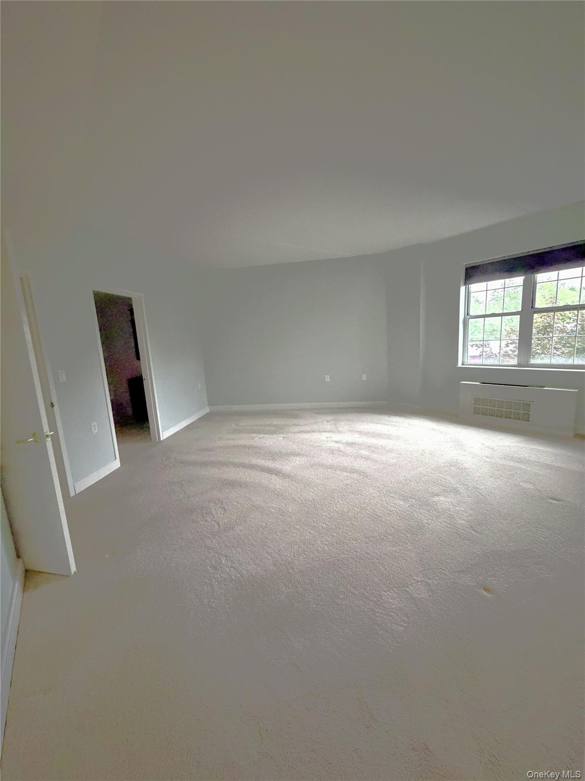50 Merrick Avenue, Unit 226 photo 12