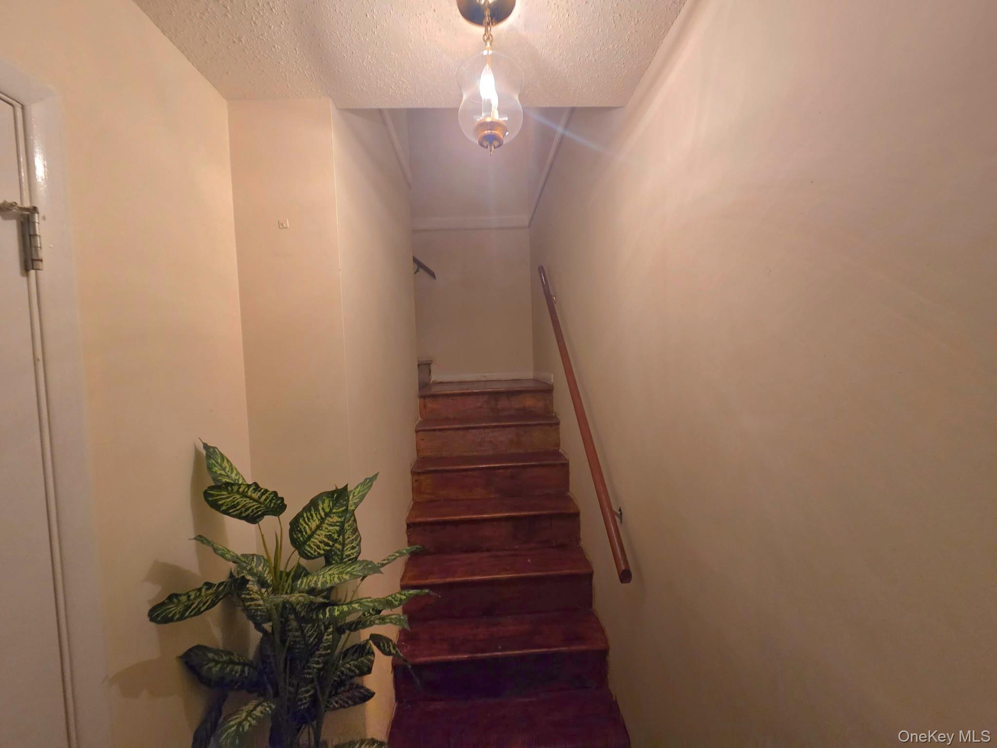 1988 Vyse Avenue, Unit Apt 2 photo 4