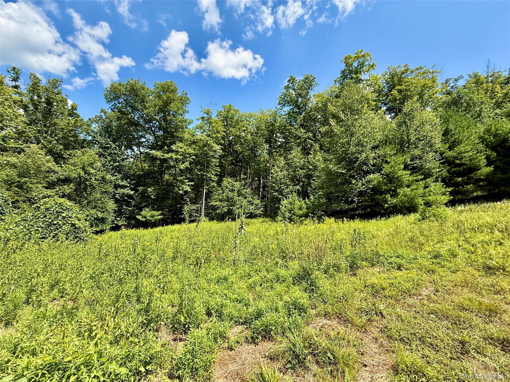 TBD Kerness Road – For Sale photo 32