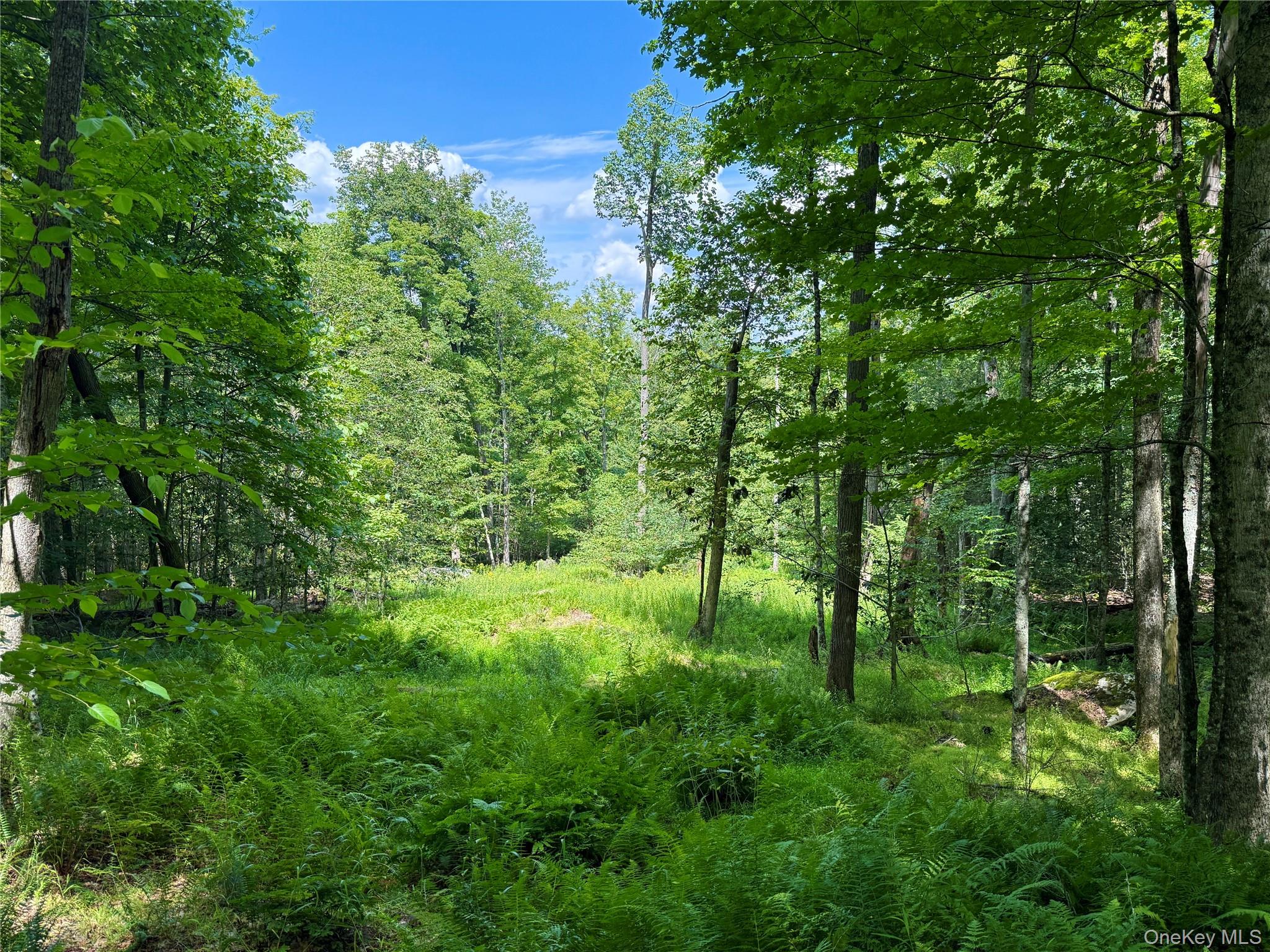 TBD Kerness Road – For Sale photo 5
