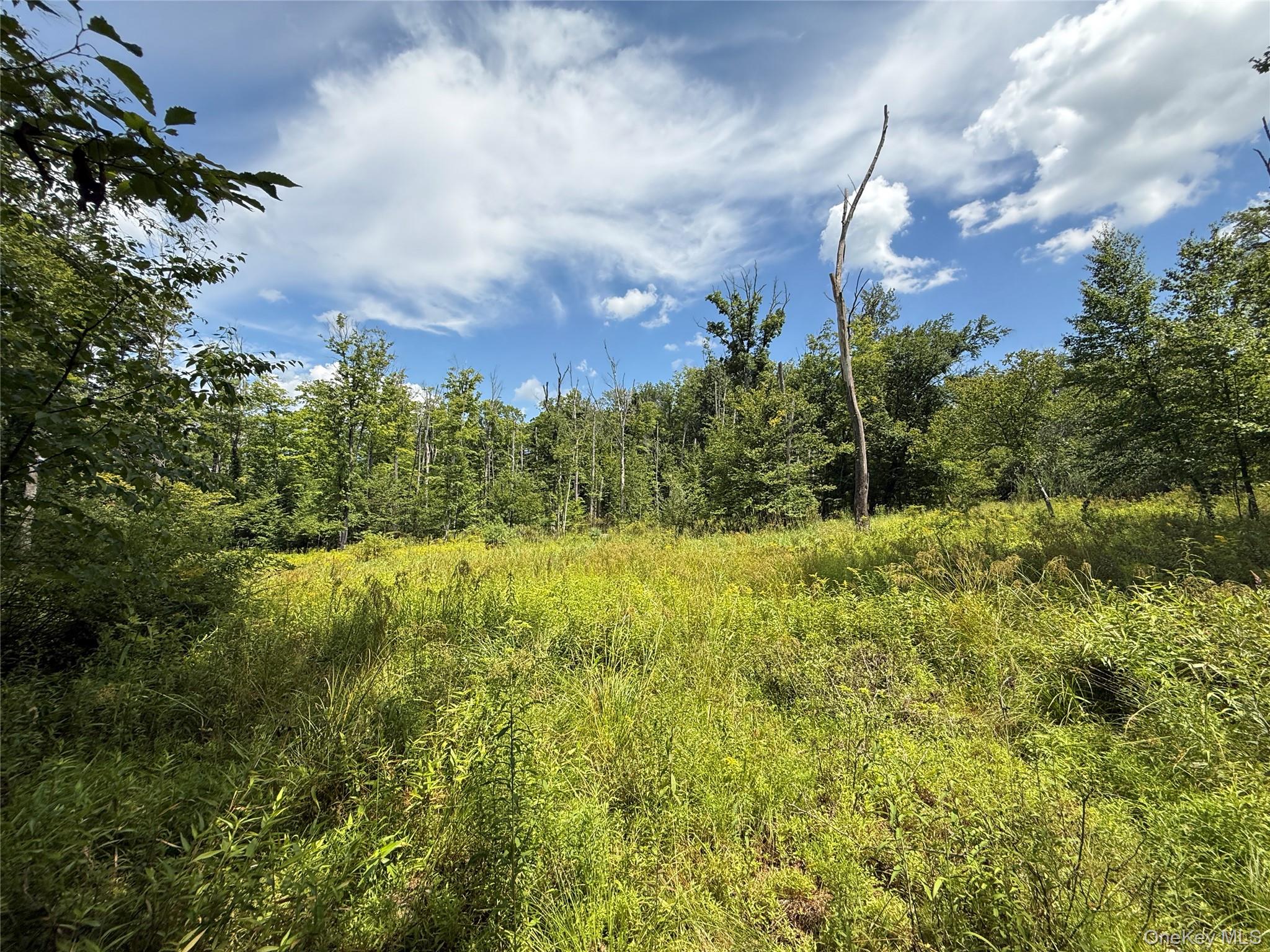 TBD Kerness Road – For Sale photo 7