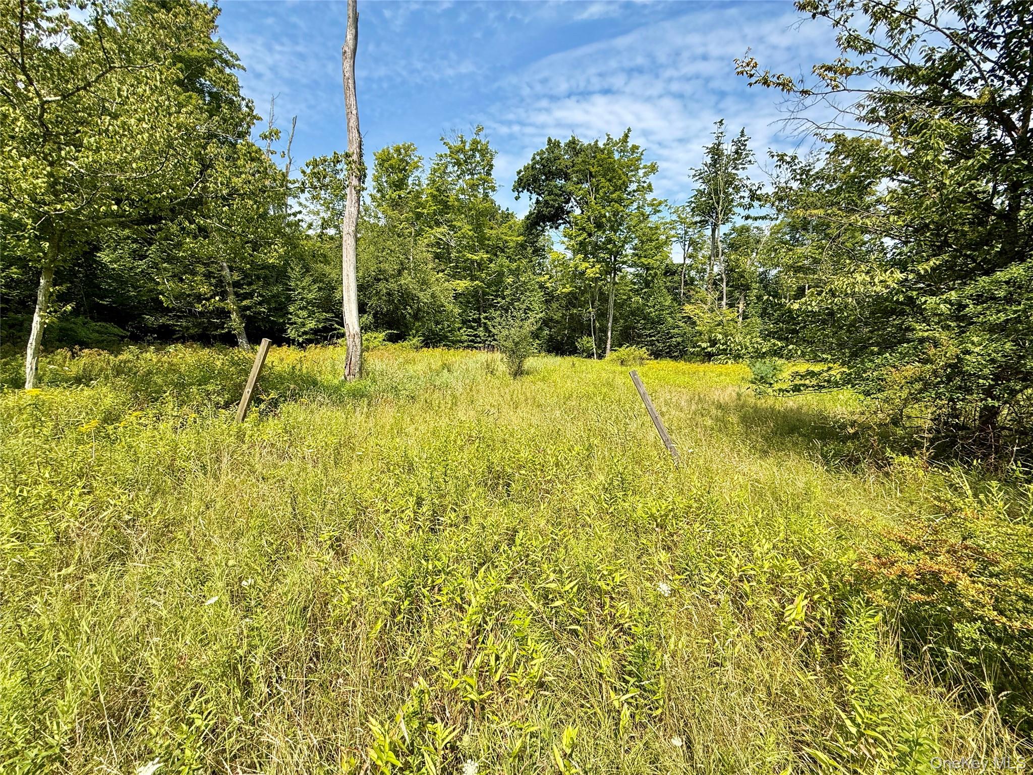 TBD Kerness Road – For Sale photo 16