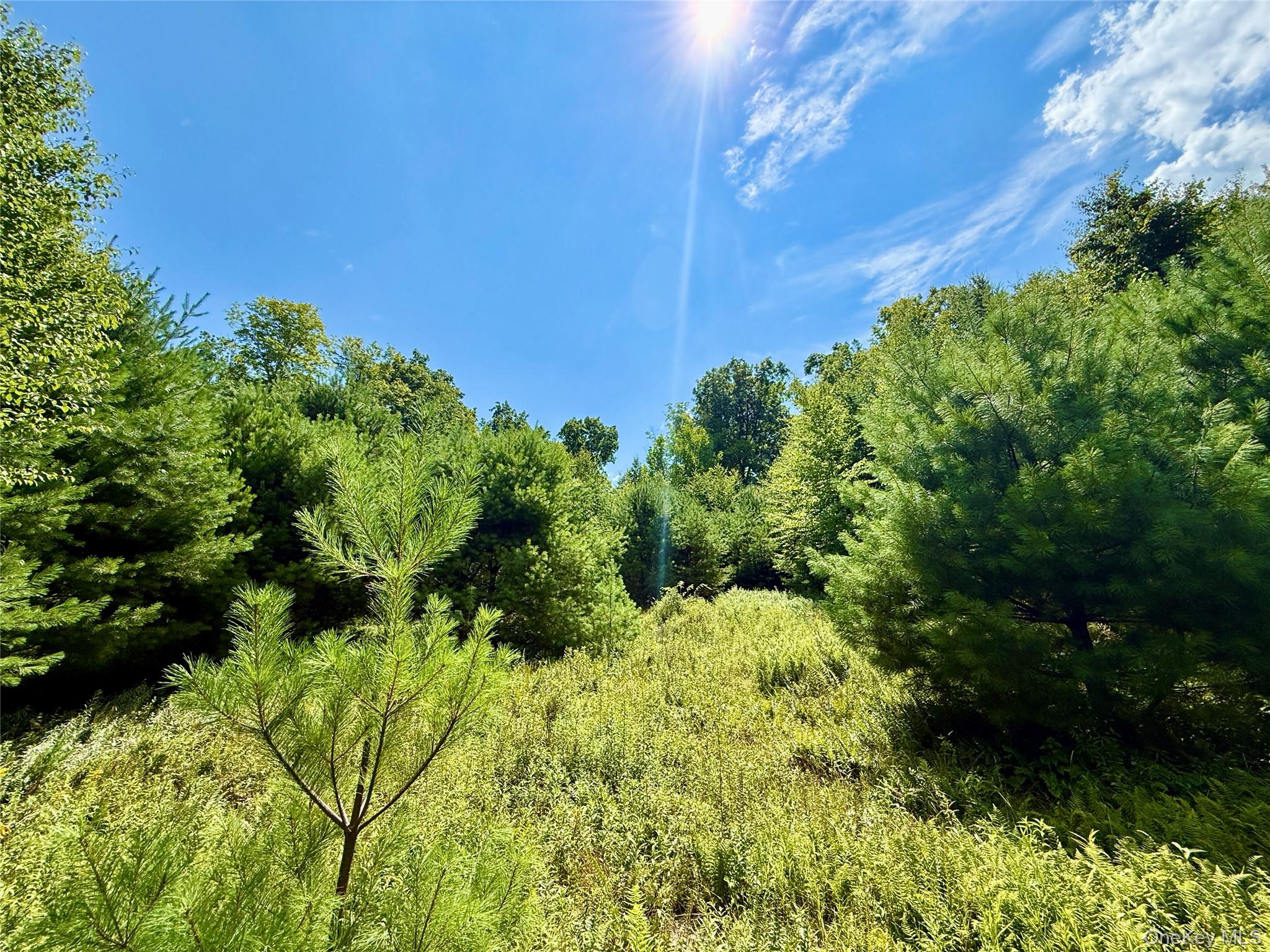 TBD Kerness Road – For Sale photo 2