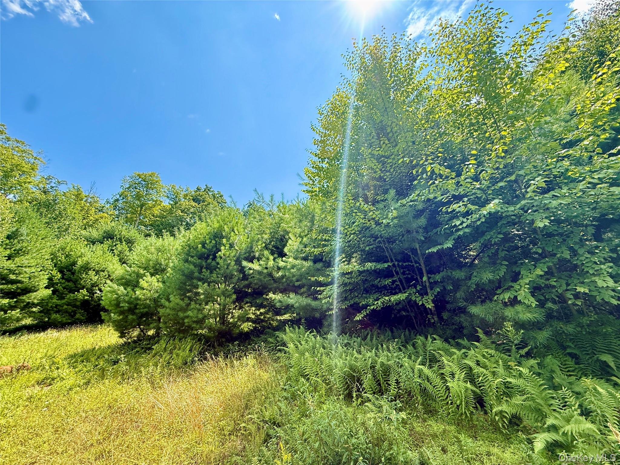 TBD Kerness Road – For Sale photo 31