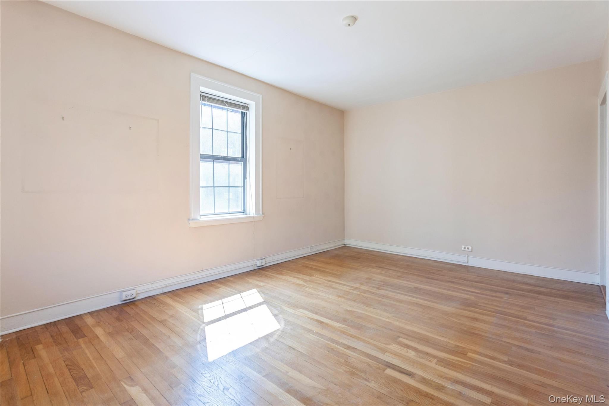 68-36 Burns Street, Unit D1 photo 10