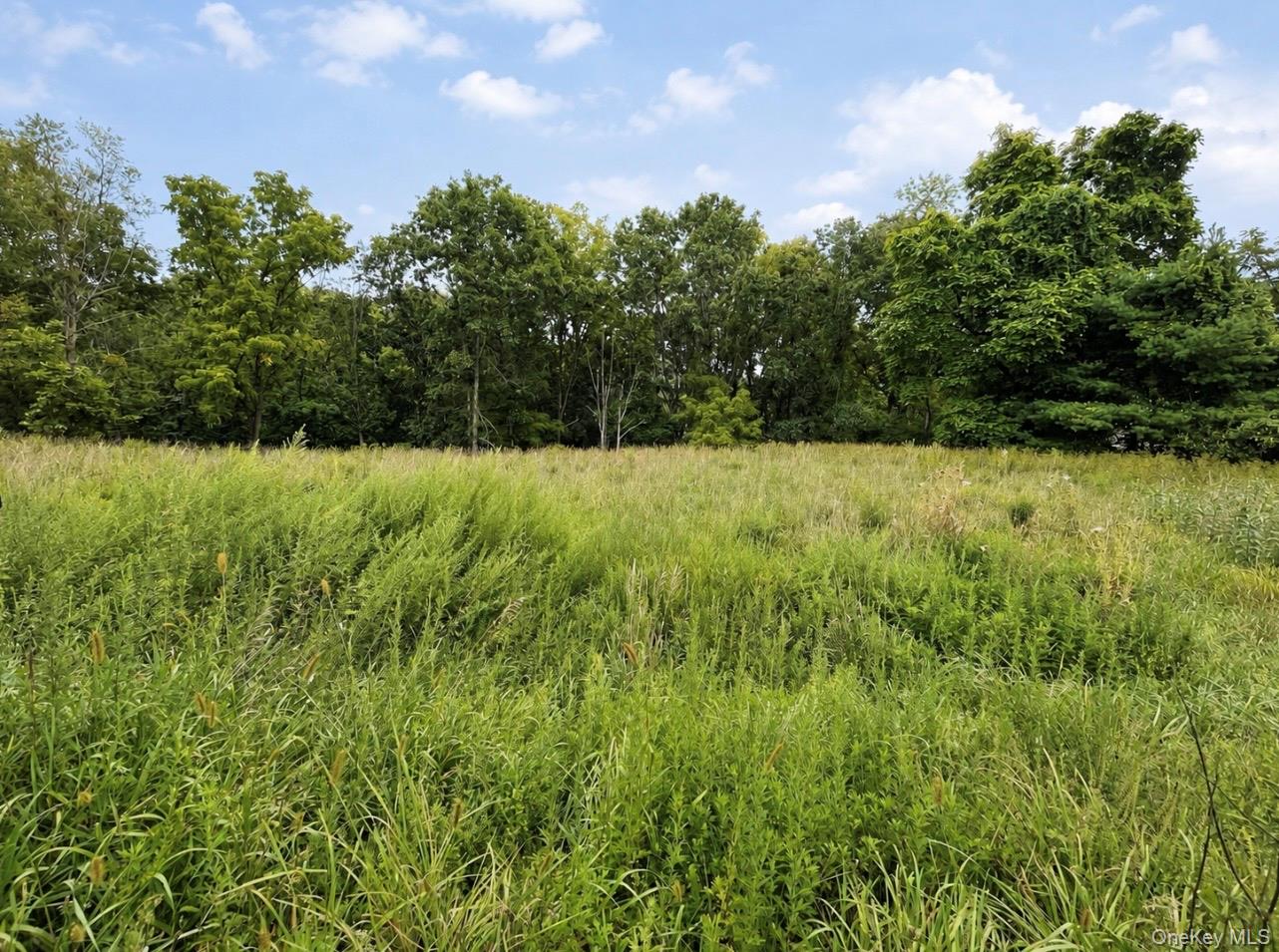 TBD Queens Highway – For Sale