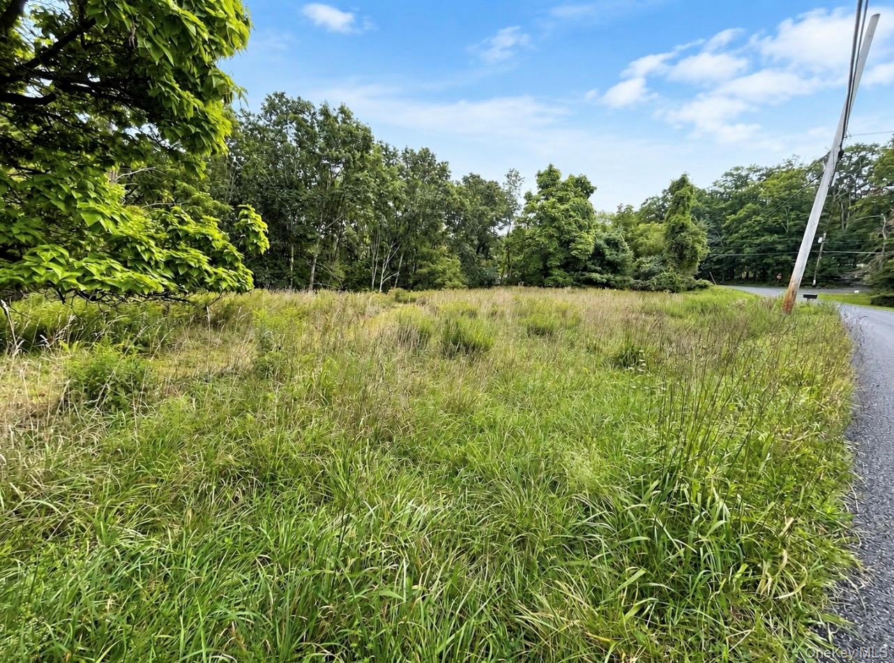 TBD Queens Highway – For Sale photo 2