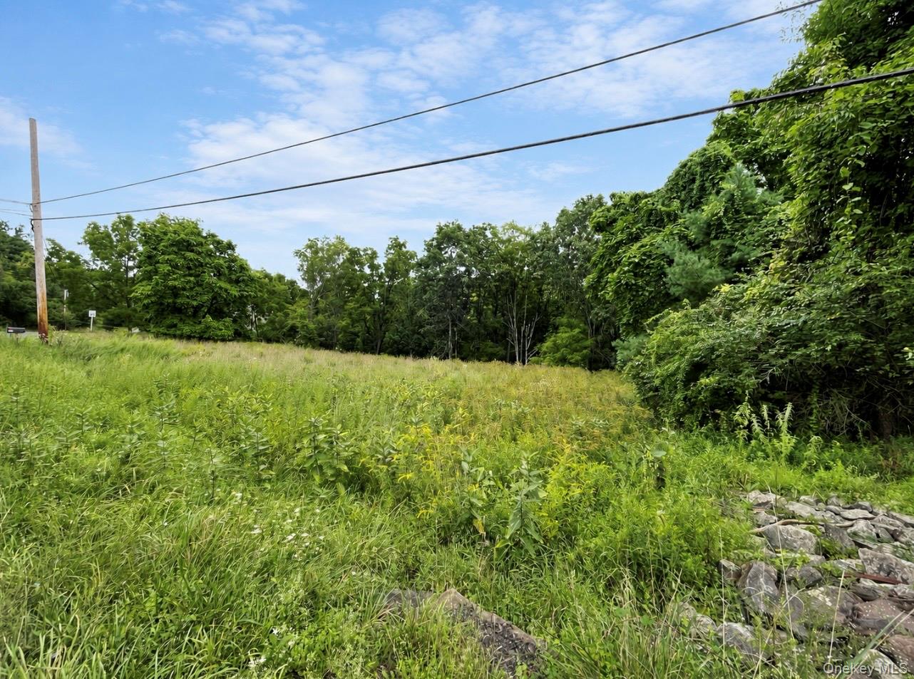 TBD Queens Highway – For Sale photo 3