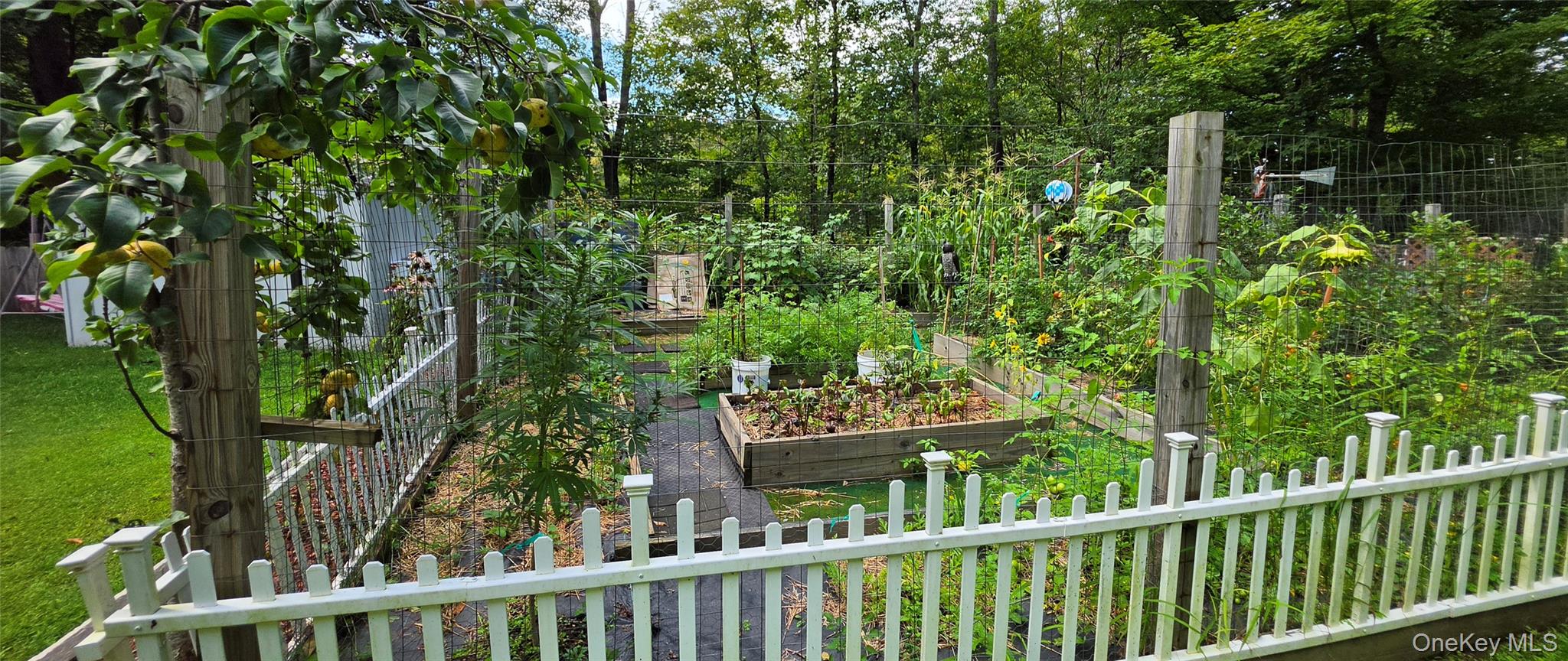 42 Gabriel Road – For Sale photo 26