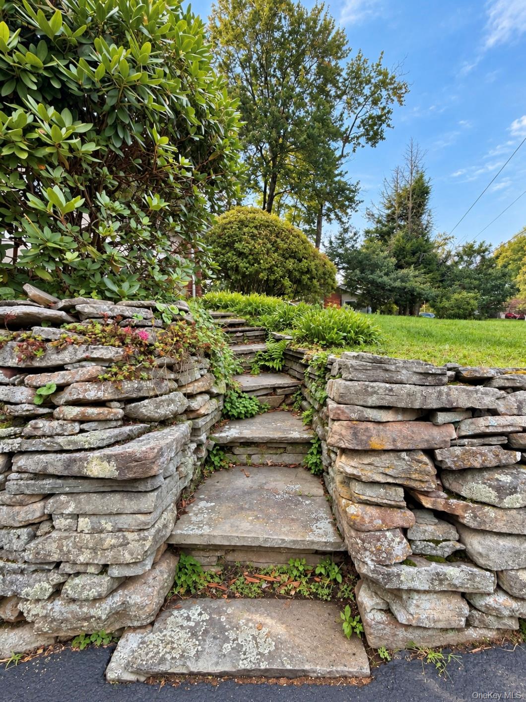 56 Columbia Drive – For Sale photo 14