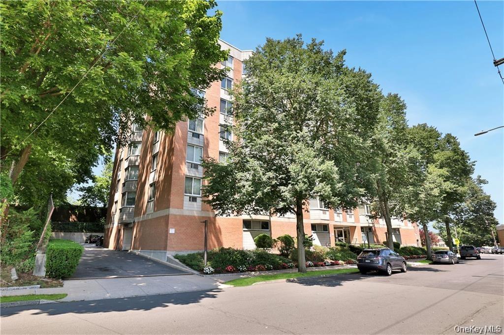 14 Nosband Avenue, Unit 1A photo 24