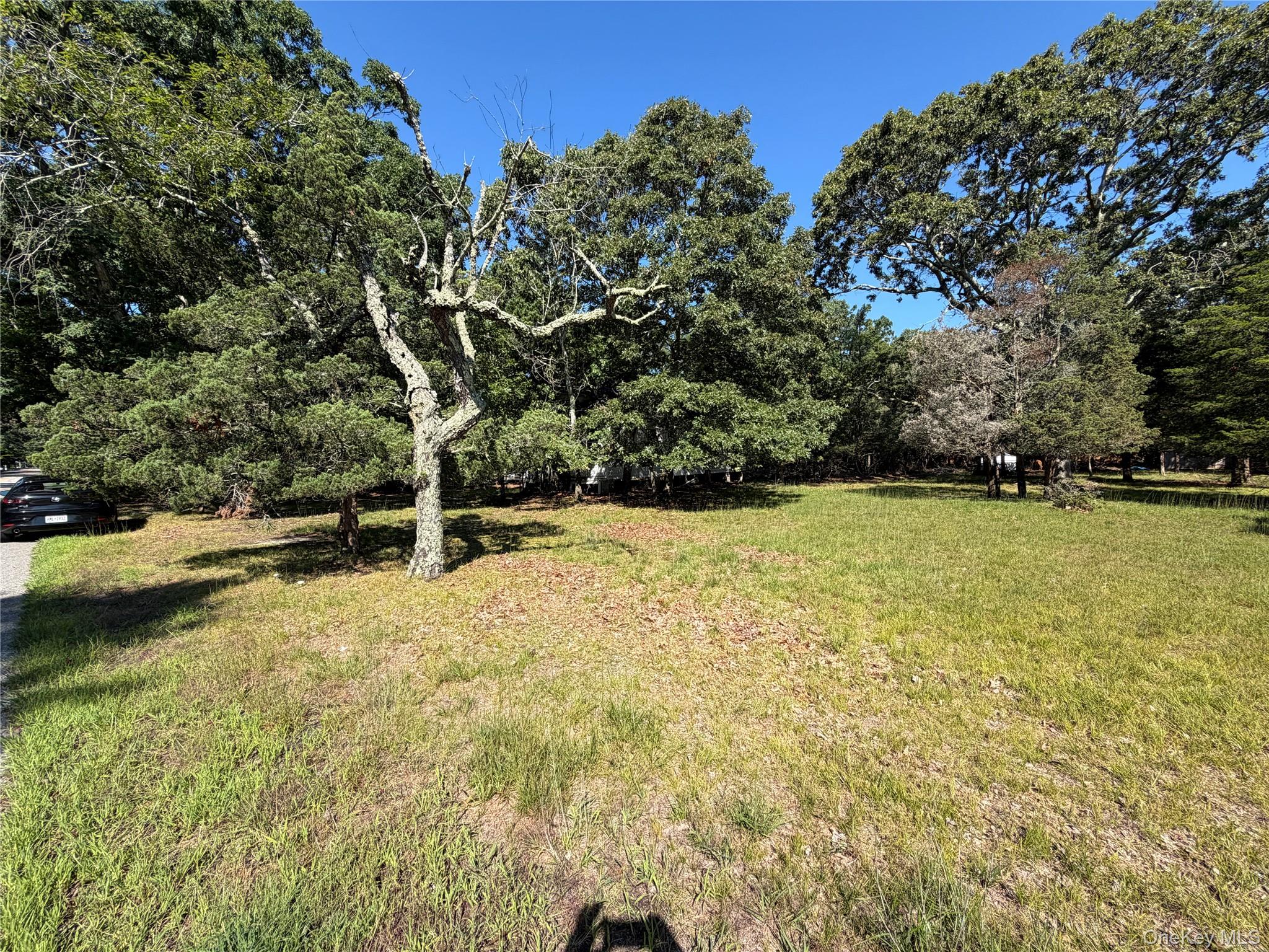 92 W Tiana Road – For Sale