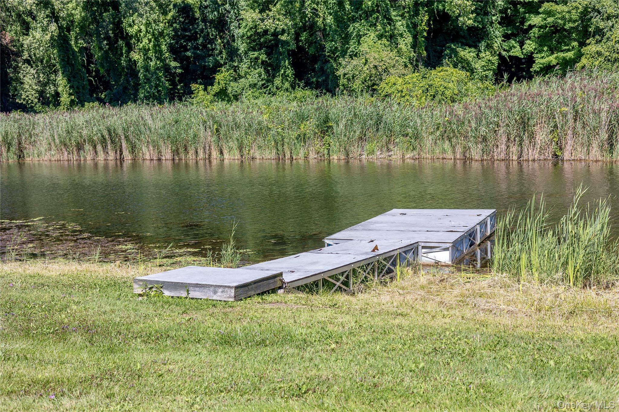 60 Briarwood Lane – For Sale photo 49