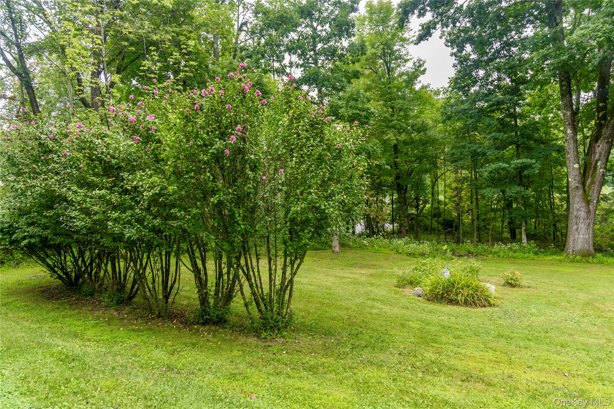 60 Briarwood Lane – For Sale photo 44